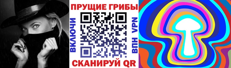 Галлюциногенные грибы Psilocybine cubensis  Сосенский 